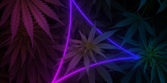 THC beverages route-to-market