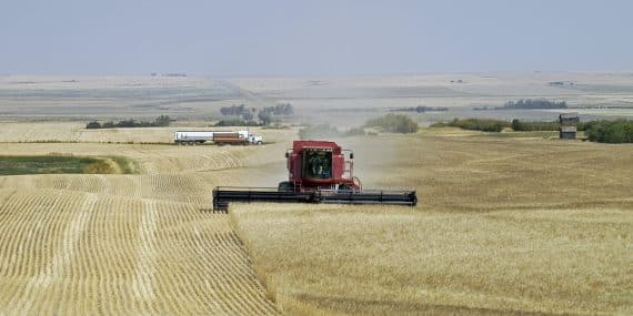 Barley harvest Canada